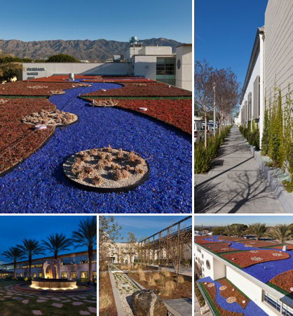 Power company creates sustainable EcoCampus