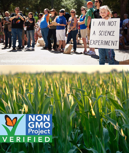 gmo_project_1_1356566742.jpg