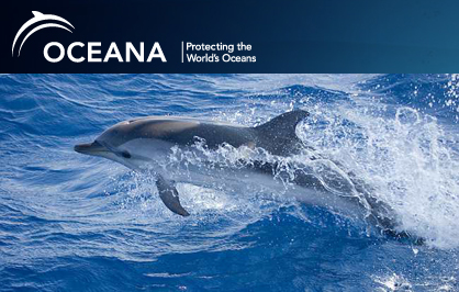 oceana_dolphin_1_1333999993.jpg