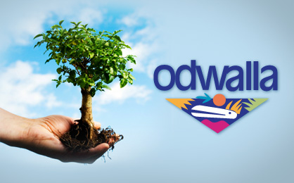 odwalla_1_1243735982.jpg