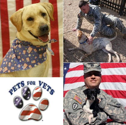 pets_for_vets_final_top_image_1371797606.jpg