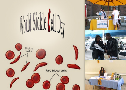 sickle_cell_final_image_1308261031.jpg
