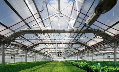 Eco-Friendly Farms In The Sky