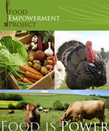 Food Empowerment Project: Healthy Food, Healthy Communities