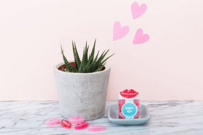 16 Affordable Valentine’s Day Gifts