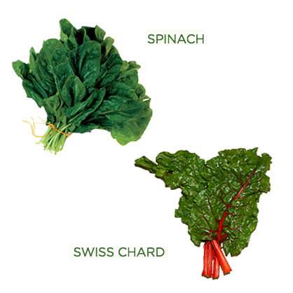 Best Greens: Spinach & Swiss Chard