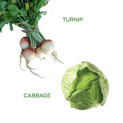 Rate Your Greens: Turnip Greens and Cabbage