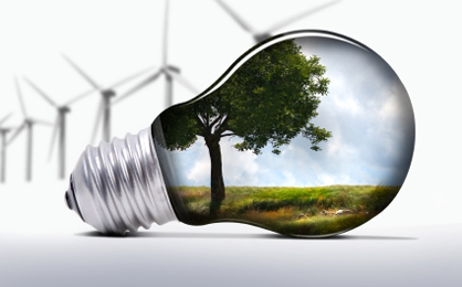 Eco-Biz_1261909338.jpeg
