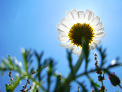SeedsMatter_1265274257.jpeg
