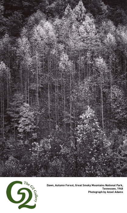 ansel_adams_final_image_1328559776.jpg