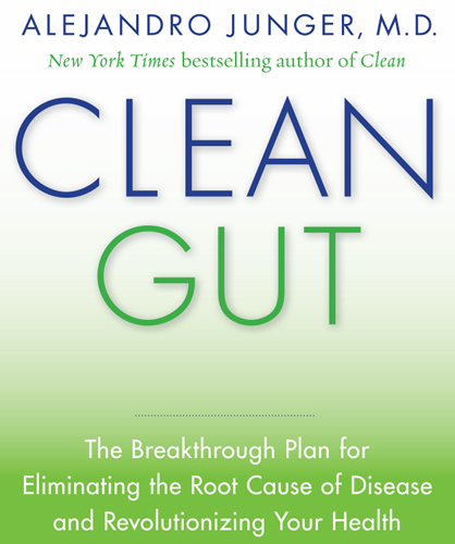 clean_gut_book_1380662060.png