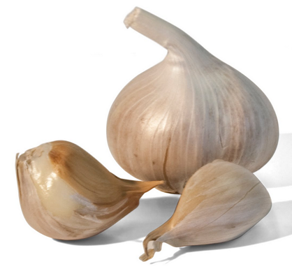 Herbs for Good Health: Garlic