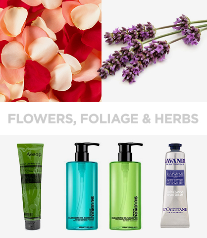 Mother Nature-Inspired Beauty Remedies Flowers, Foliage & Herbs