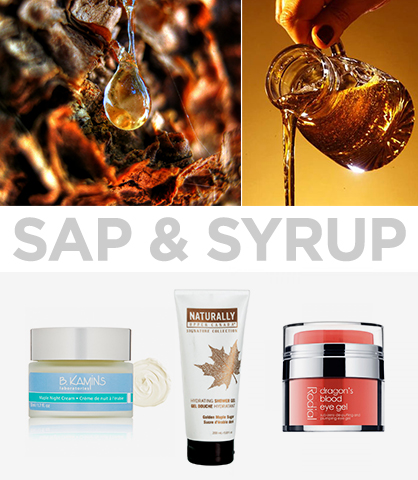 Mother Nature-Inspired Beauty Remedies Sap & Syrup