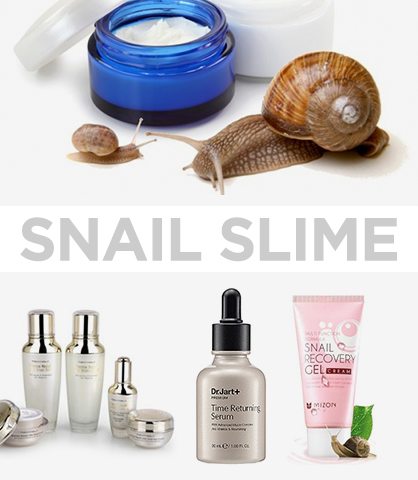 Mother Nature-Inspired Beauty Remedies Snail Slime