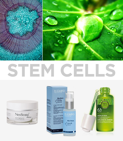 Mother Nature-Inspired Beauty Remedies Stem Cells
