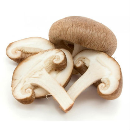 Mushrooms for Immunity