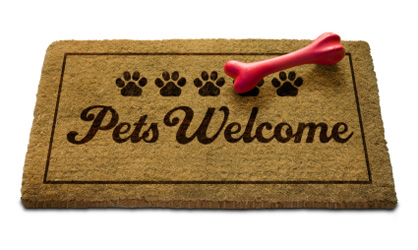 pamperedpets_2_1242632622.jpg
