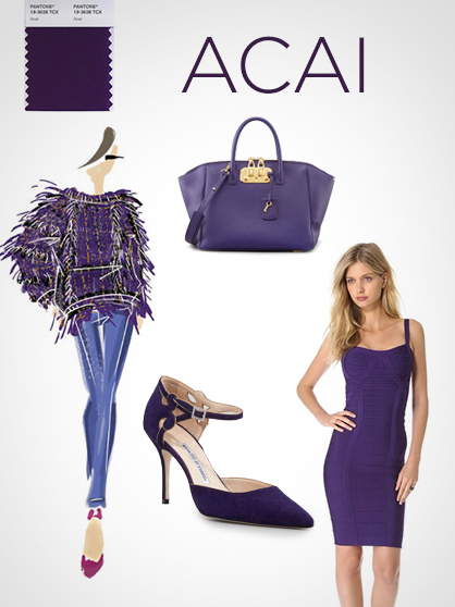 Pantone Fall Color Report: Acai