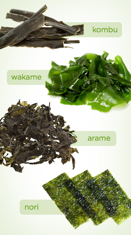 Types of Sea Vegetables