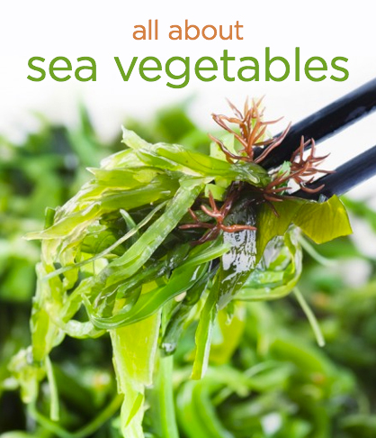 sea_vegetables_main_1383094154.jpg