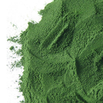 Superfood Spirulina for Sun Protection