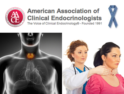 thyroid_final_image_1327284916.jpg