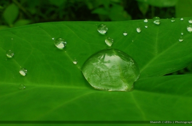 Obama’s Best Green Goals