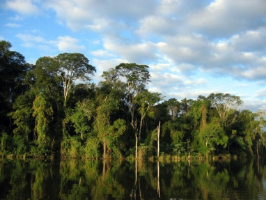 DisneyNature Partners With Nature Conservancy