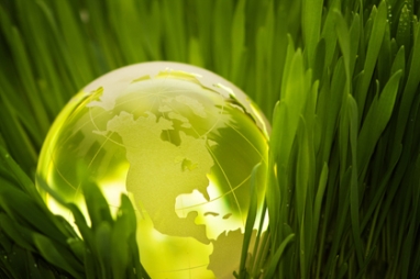 Easy Living Adjustments that Offer Big ECO-Impact