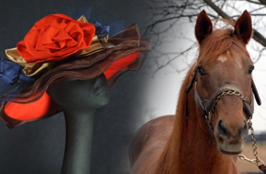 A Day at the Derby to Help Save Retired Thoroughbreds