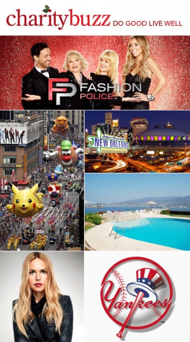 Charitybuzz 2012 Holiday Auction: 6 Gifts Worth Waiting For
