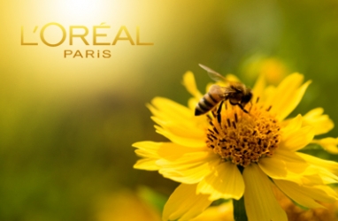 Beauty Box: Provide Your Hair with the ‘Royal’ Treatment by L’Oréal