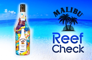 Malibu Rum Sponsors FREE 10-day Trip to Help Our Coral Reefs