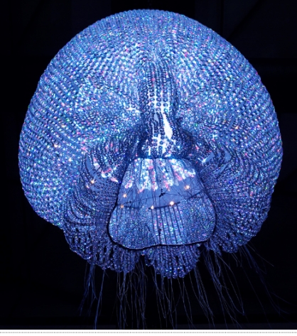Sea_Life_Image_Post_050309_1241411275.jpg