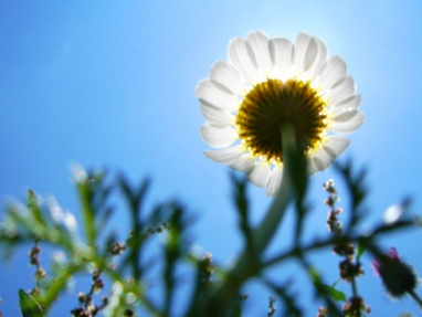 Seeds Matter