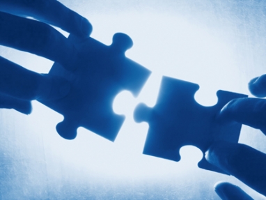 Quick Tips on Career Success, Developing the Internal Leader