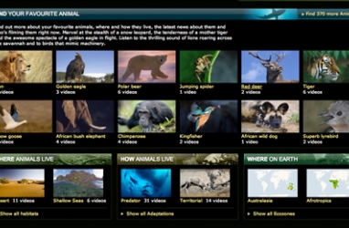 BBC Launches Largest Virtual Zoo Online