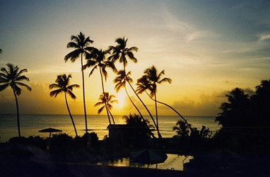 JET SET:&nbsp; Exotic Destination with Weather Guarantee, Barbados