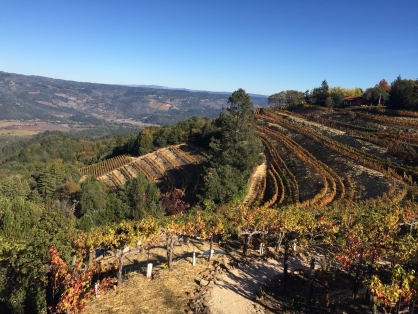 7 Bespoke Wine Tasting Experiences in Napa Valley