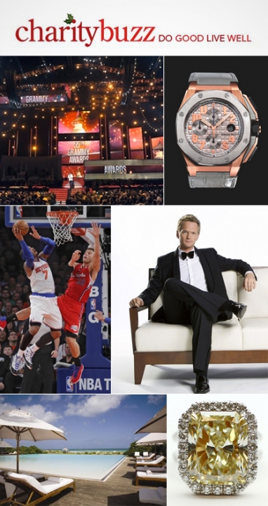 Charitybuzz “12 Days of Giving”: Luxury Auction Items