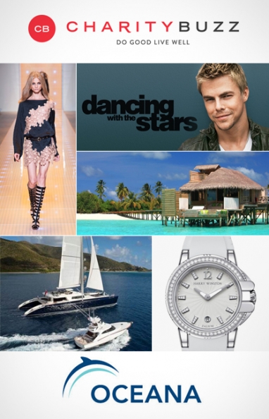 Oceana SeaChange 2013: 5 Luxury Auction Items