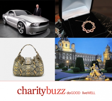 Charitybuzz: Online luxe auctions that make a difference
