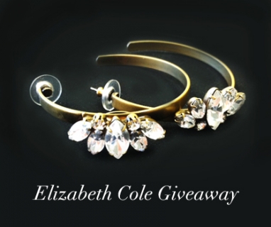 LUX Giveaway: Elizabeth Cole
