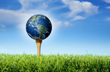Save Trees Use Eco-Friendly Golf Tees