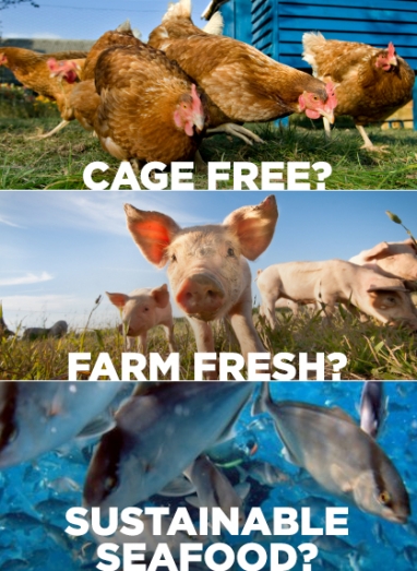 The Truth Behind Food Labeling