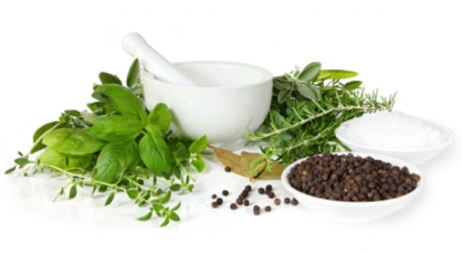 herbs-1_1238690992.jpg