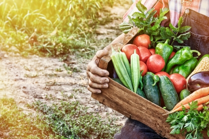 Is Organic Worth the Cost?