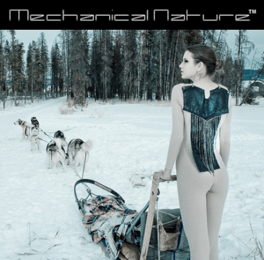 Q&A: Mechanical Nature