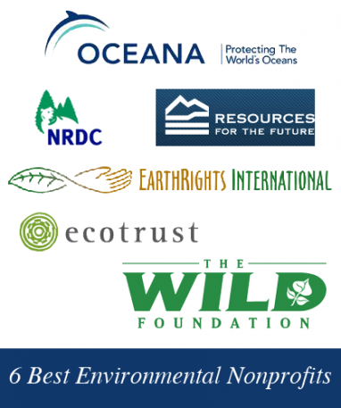 Six top environmental charities to consider